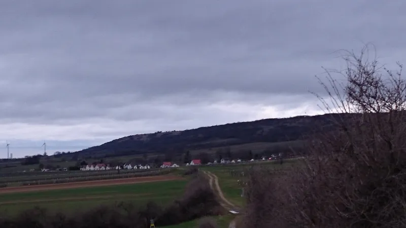 Bild von Sabina Huber
