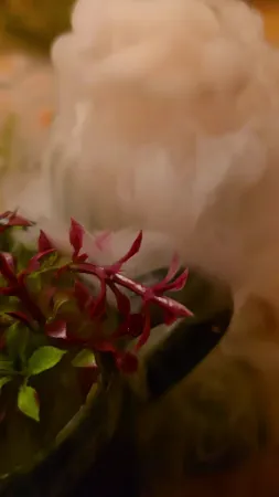 Bild von Foody Foody Restaurant