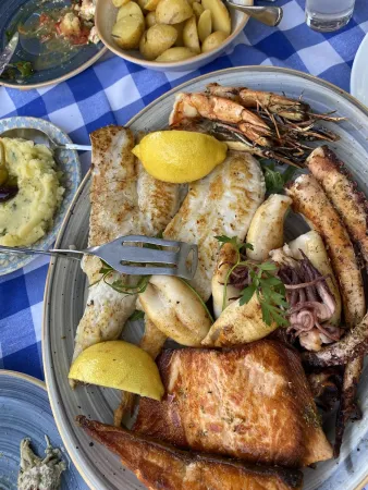 Bild von boranın oyun yeri
