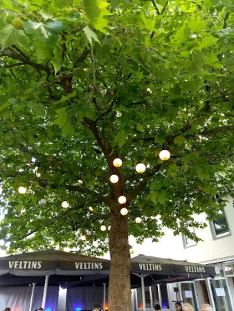 Bild von markt20