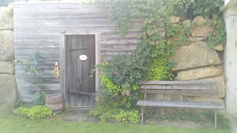 Bild von Kellerbar Weitra