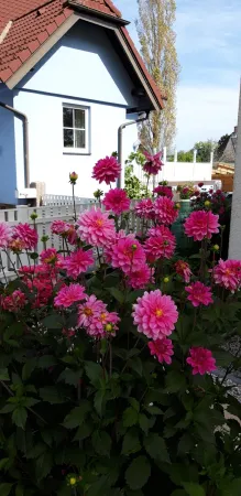 Bild von Kurt Buder