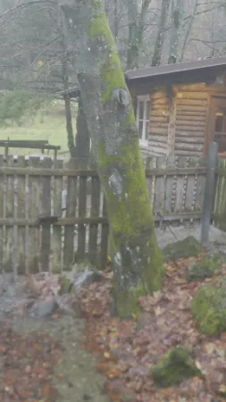 Bild von Hiebammen Hütte GmbH