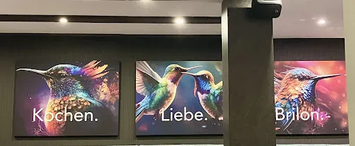 Bild von Kolibri