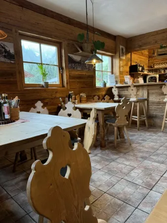 Bild von Ibiza Dogs Club