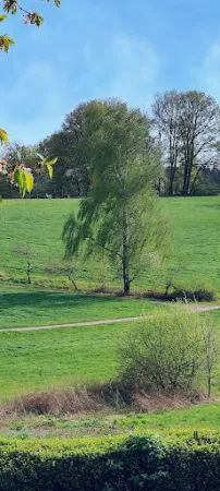 Bild von Zum Kirschgarten