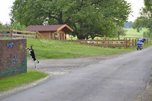 Bild von Biergarten im Baumgarten, Rast - und Jausenstation mit Selbstbedienung.