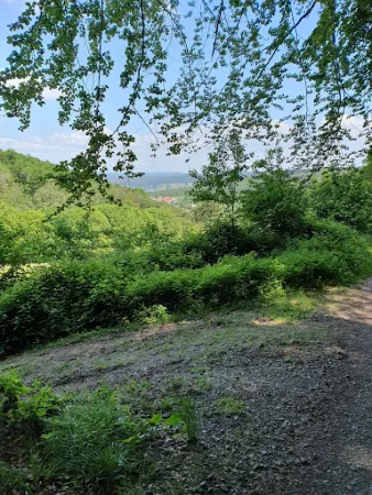 Bild von Waldhaus Seckmauern