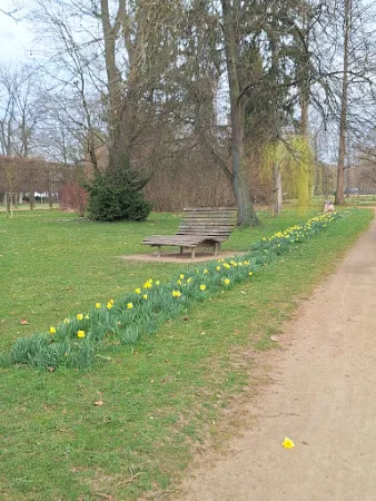 Bild von Schlossgarten