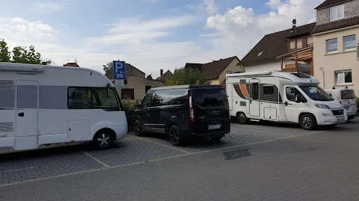 Bild von Die Linde