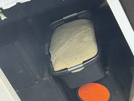 Bild von Pizzeria Romana
