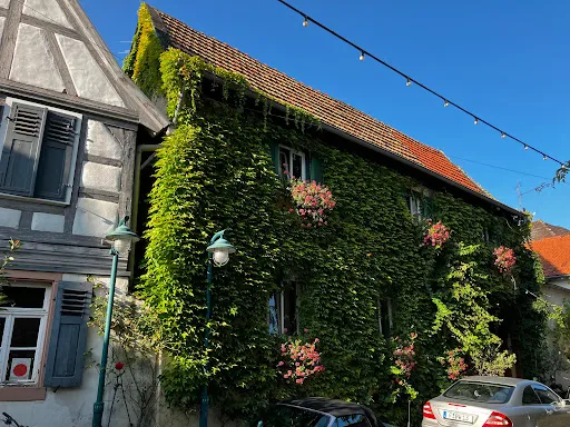 Bild von Weingut Preis