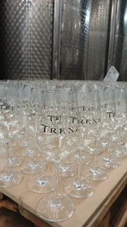Bild von Weingut Trenz