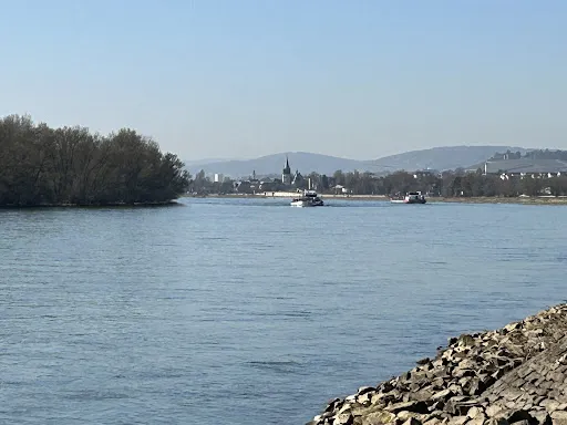 Bild von RheinSchänke - MM Rheinterrassen GmbH & Co KG