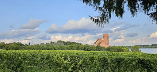 Bild von Rheingarten