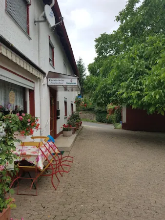 Bild von Zum grünen Baum
