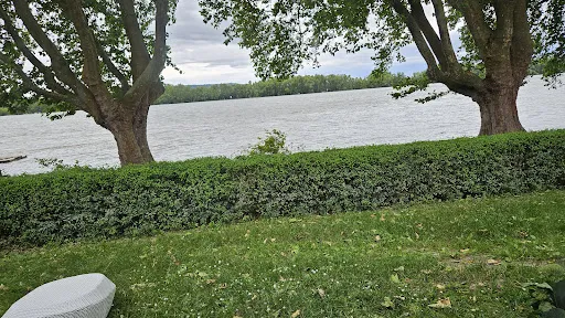 Bild von Bootshaus in Geisenheim am Rheinufer
