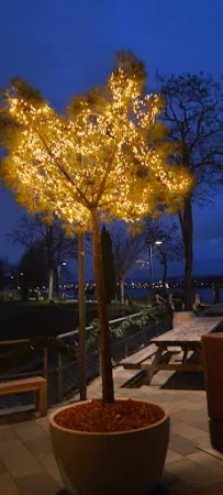Bild von Bootshaus Mainz