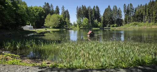 Bild von Gaststätte Fischerhütte Rothsee
