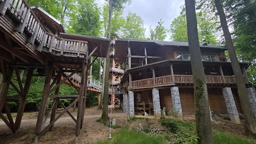 Bild von Baumkronen Lodge