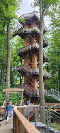 Bild von Baumkronen Lodge