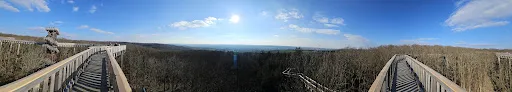 Bild von Baumkronen Lodge