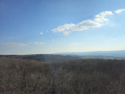 Bild von Baumkronen Lodge