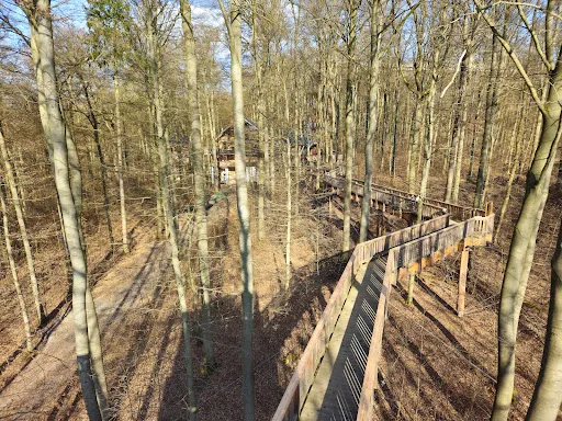 Bild von Baumkronen Lodge