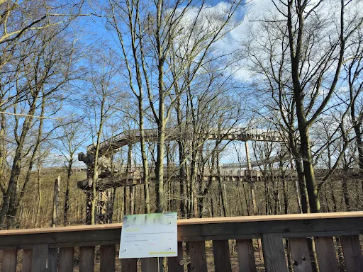 Bild von Baumkronen Lodge