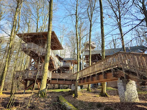 Bild von Baumkronen Lodge
