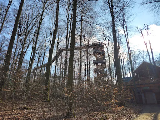Bild von Baumkronen Lodge