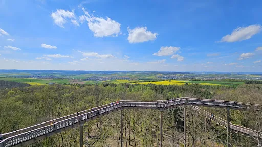 Bild von Baumkronen Lodge