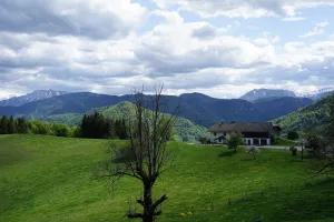 Kapler Alm