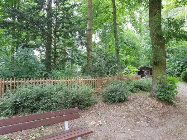 Bild von undefined