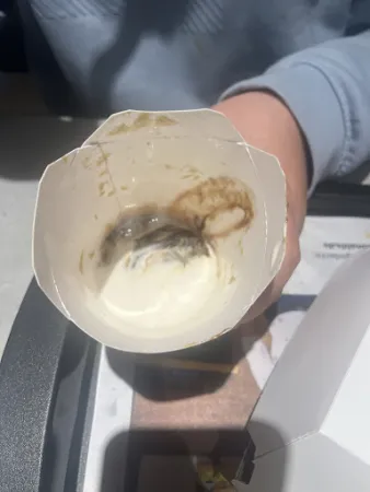 Bild von McDonald's Warburg