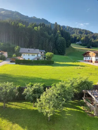 Bild von Wolf Ernst
