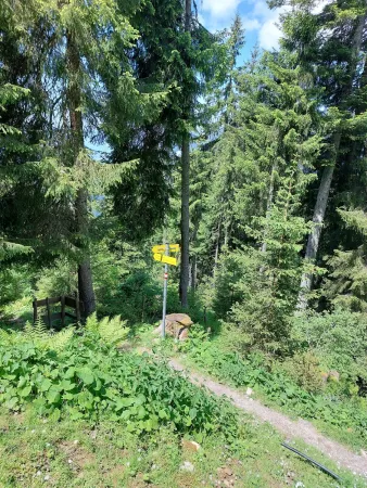 Bild von Wolf Ernst
