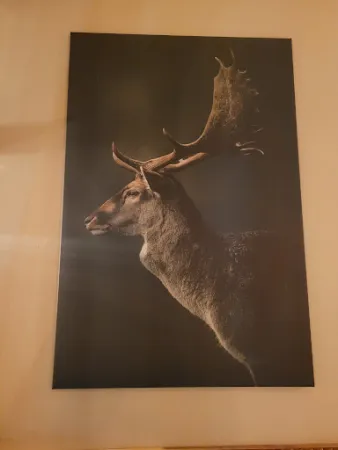 Bild von Burghaus