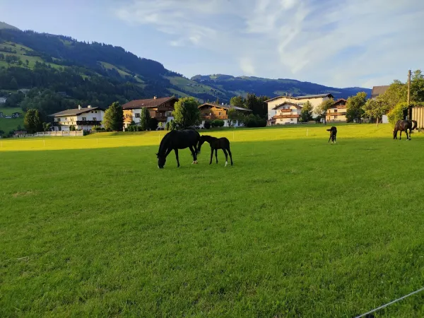 Bild von Ralf Gortner