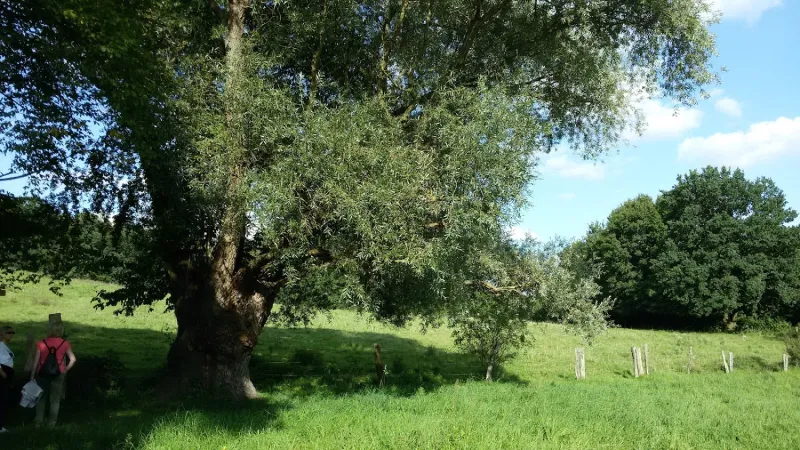 Bild von undefined