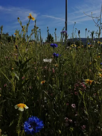 Bild von undefined