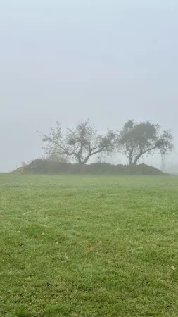 Bild von Hopfenerlebnishof