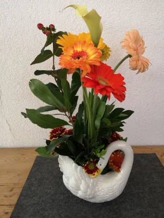 Bild von undefined