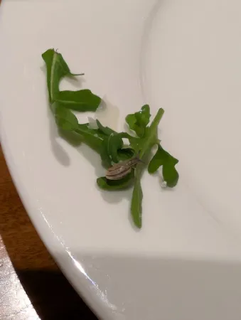 Bild von Ristorante "Da Nico"