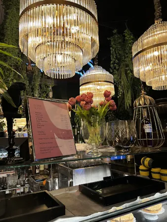 Bild von Operncafé