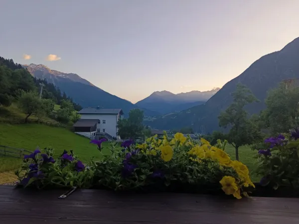 Bild von Wally Restaurant