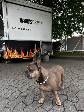 Bild von undefined