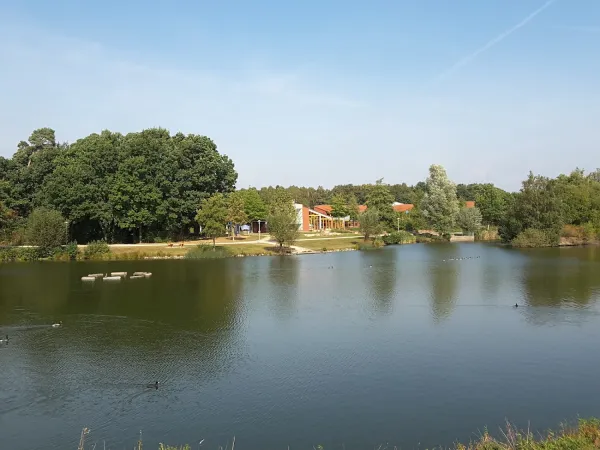 Bild von undefined