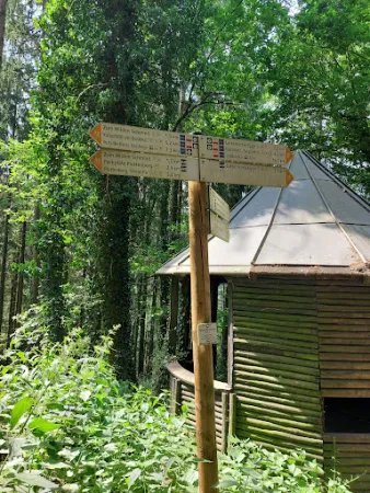 Bild von Biergarten Zum südlichen See