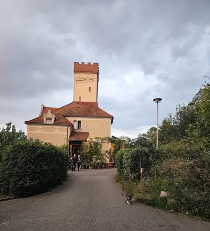 Bild von undefined